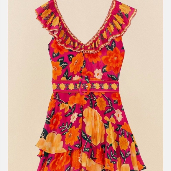 FARM Rio Pink Flowers Tapestry Mini Dress Small - Picture 6 of 11